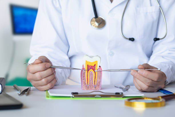 Best Weekend Emergency Dentist in Porterdale, GA